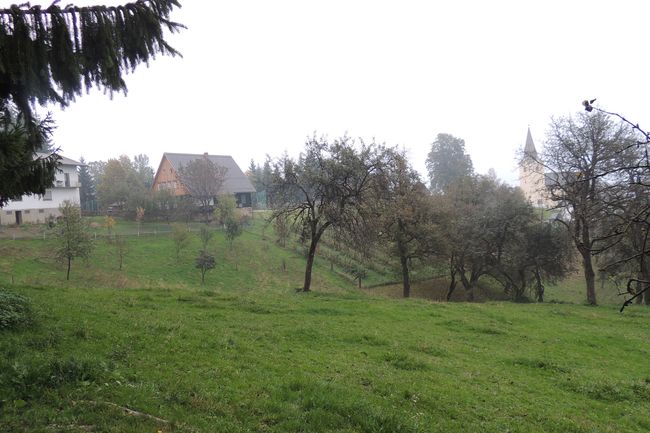 Wiel neu