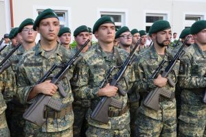 Angelobung osterr. Bundesheer 15