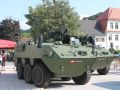 Angelobung osterr. Bundesheer 18