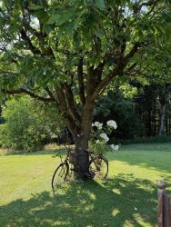 blumenschmuckfahrt 2025