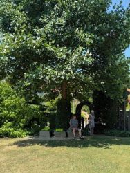 blumenschmuckfahrt 2025