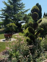 blumenschmuckfahrt 2025